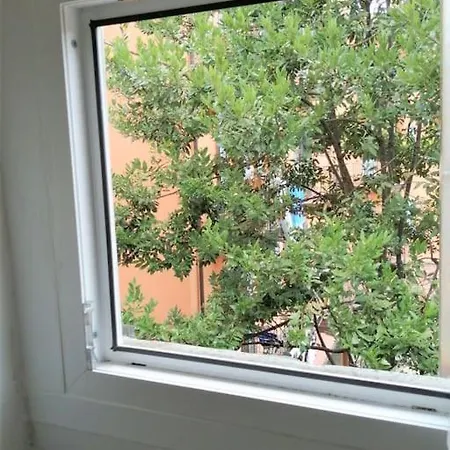 Maison Mirt